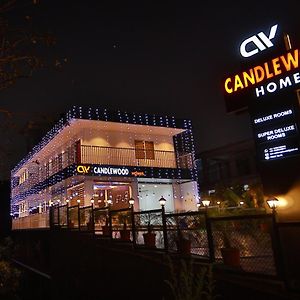 Candle Wood Munnar